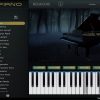 RDGAudio Simply Piano